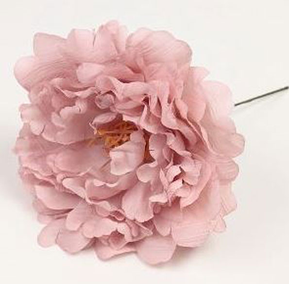 小さな牡丹。フラミンゴの花。淡いピンク。11cm